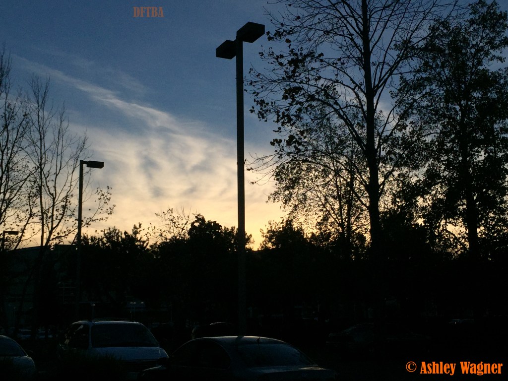 Photo Nov 17, 4 33 09 PM