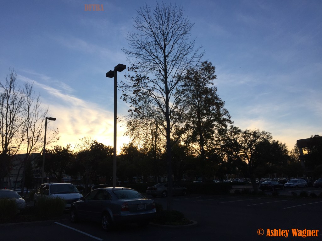 Photo Nov 17, 4 33 15 PM