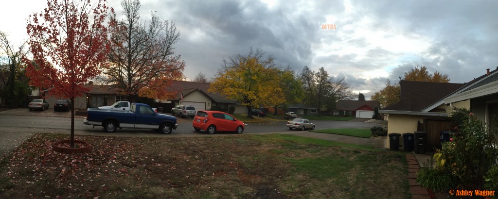 Photo Dec 01, 7 17 00 AM