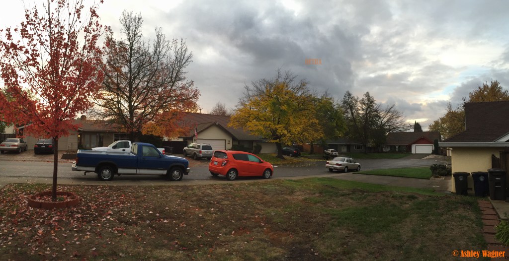 Photo Dec 01, 7 17 19 AM