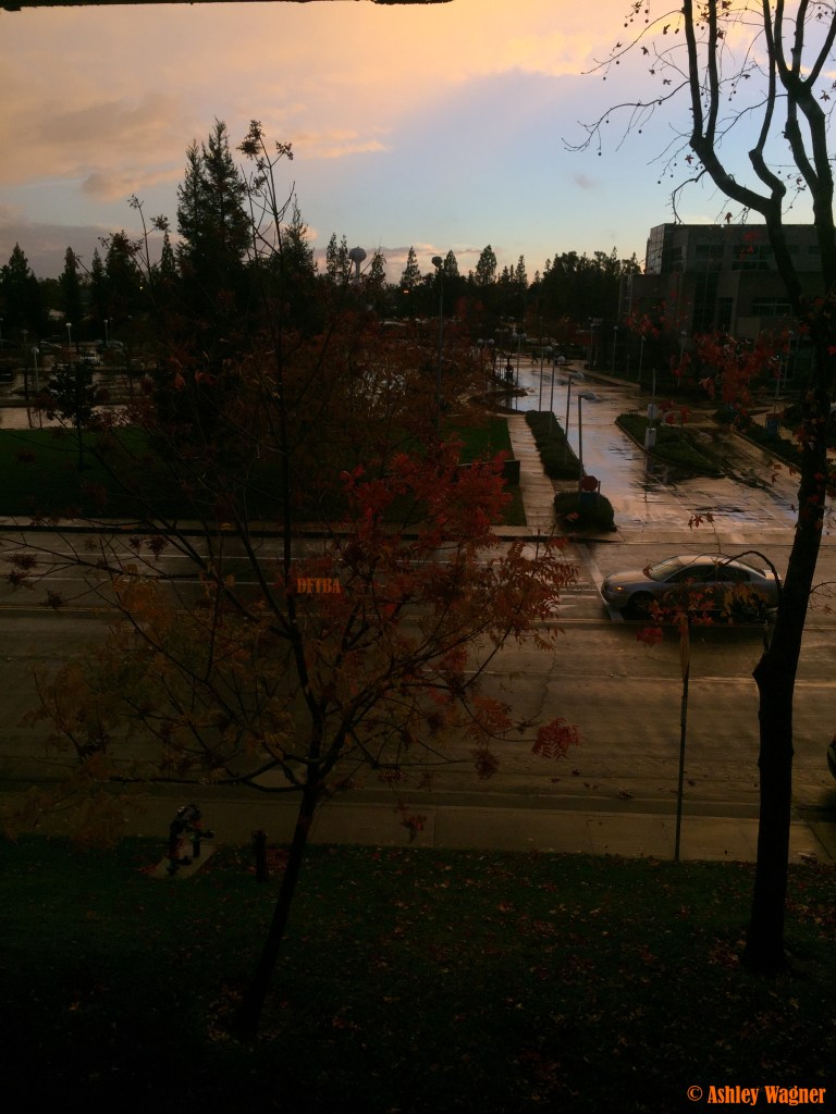 Photo Dec 03, 4 33 30 PM