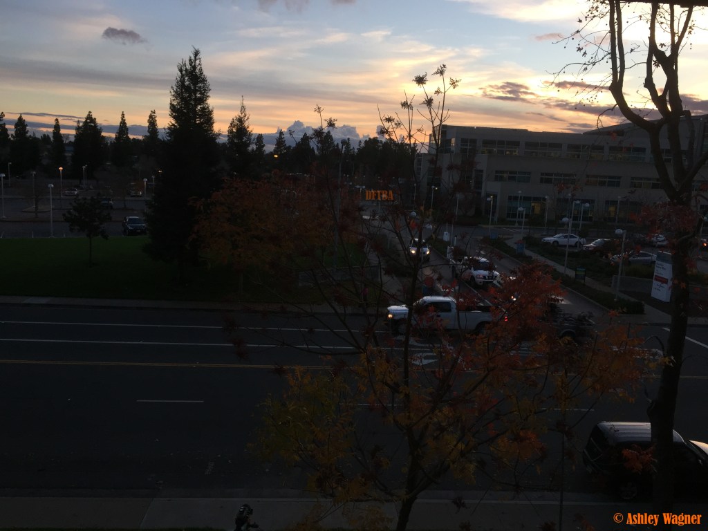 Photo Dec 04, 4 41 24 PM