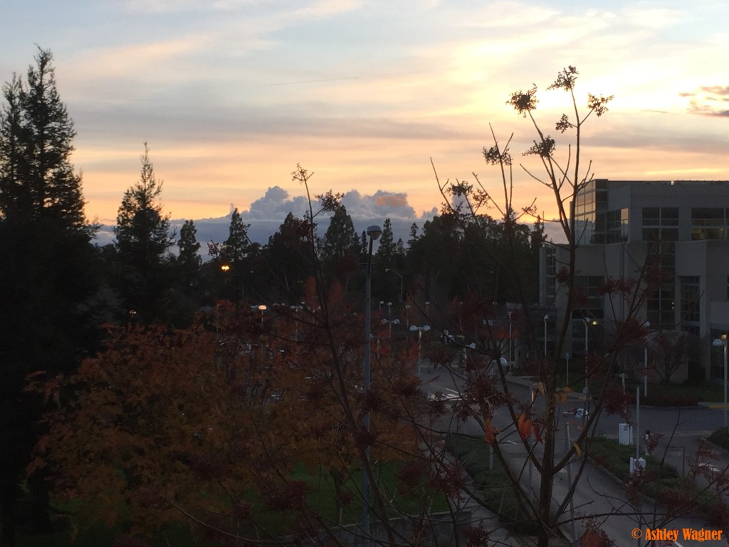 Photo Dec 04, 4 41 43 PM