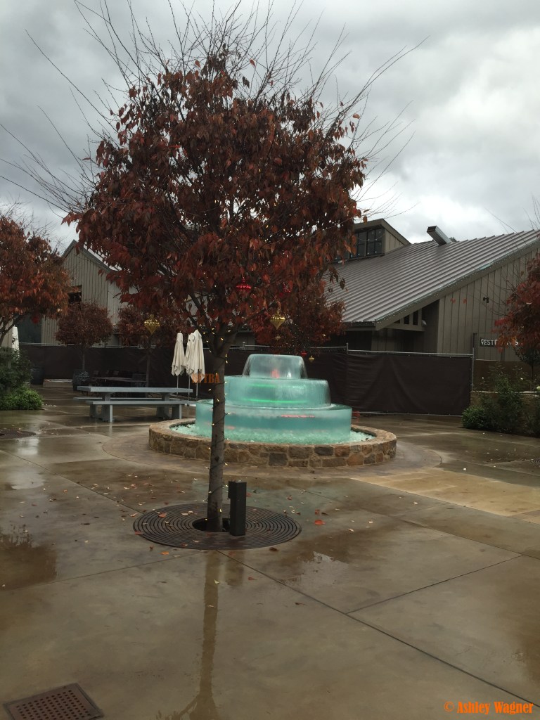 Photo Dec 05, 1 46 29 PM