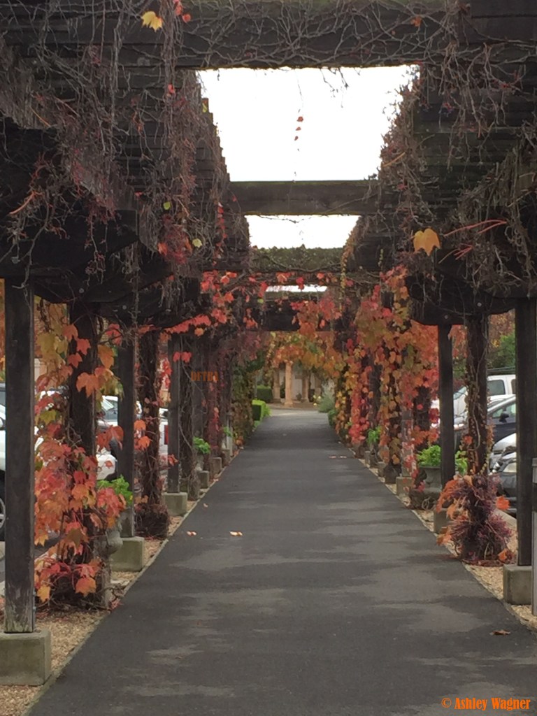 Photo Dec 05, 10 04 31 AM