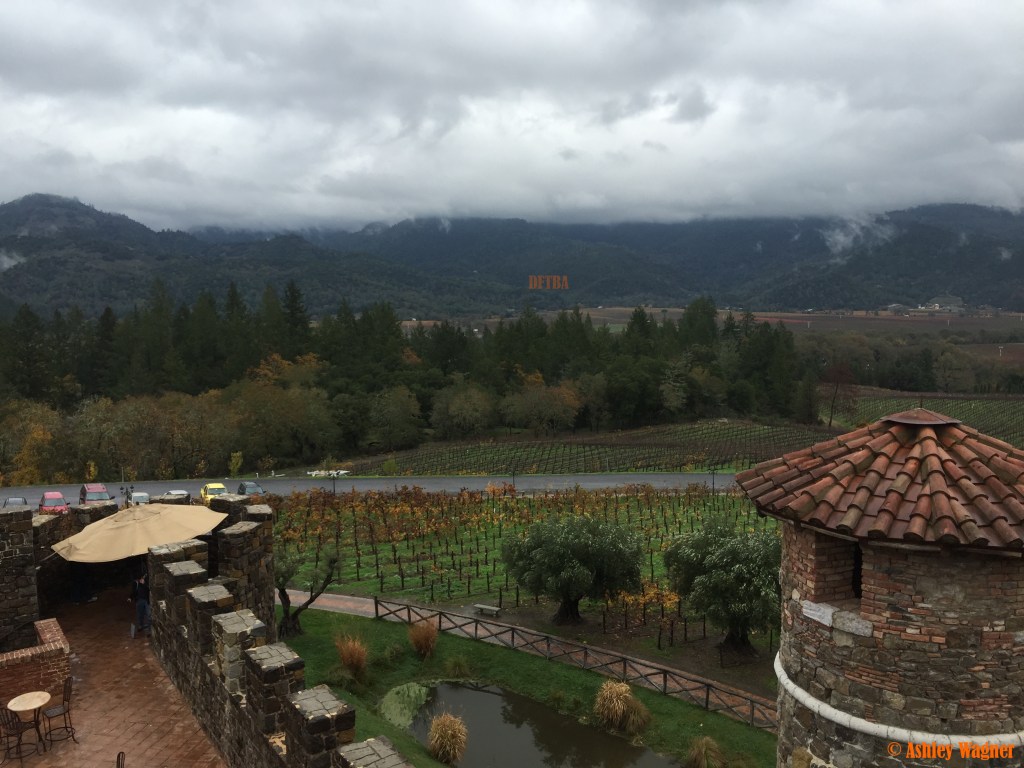 Photo Dec 05, 11 03 50 AM