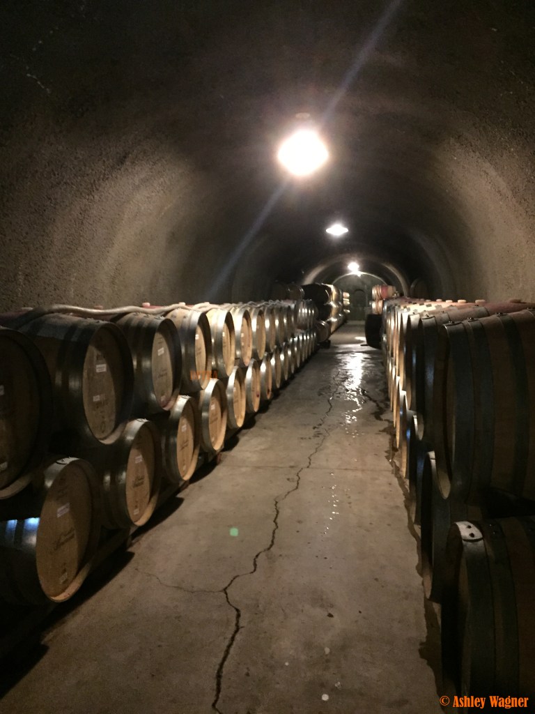 Photo Dec 05, 11 34 23 AM