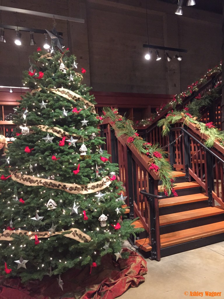 Photo Dec 05, 3 15 20 PM