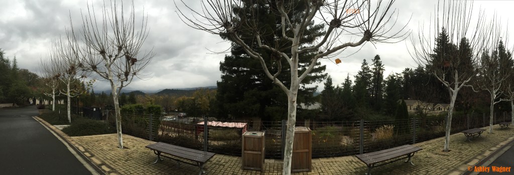 Photo Dec 05, 3 32 22 PM