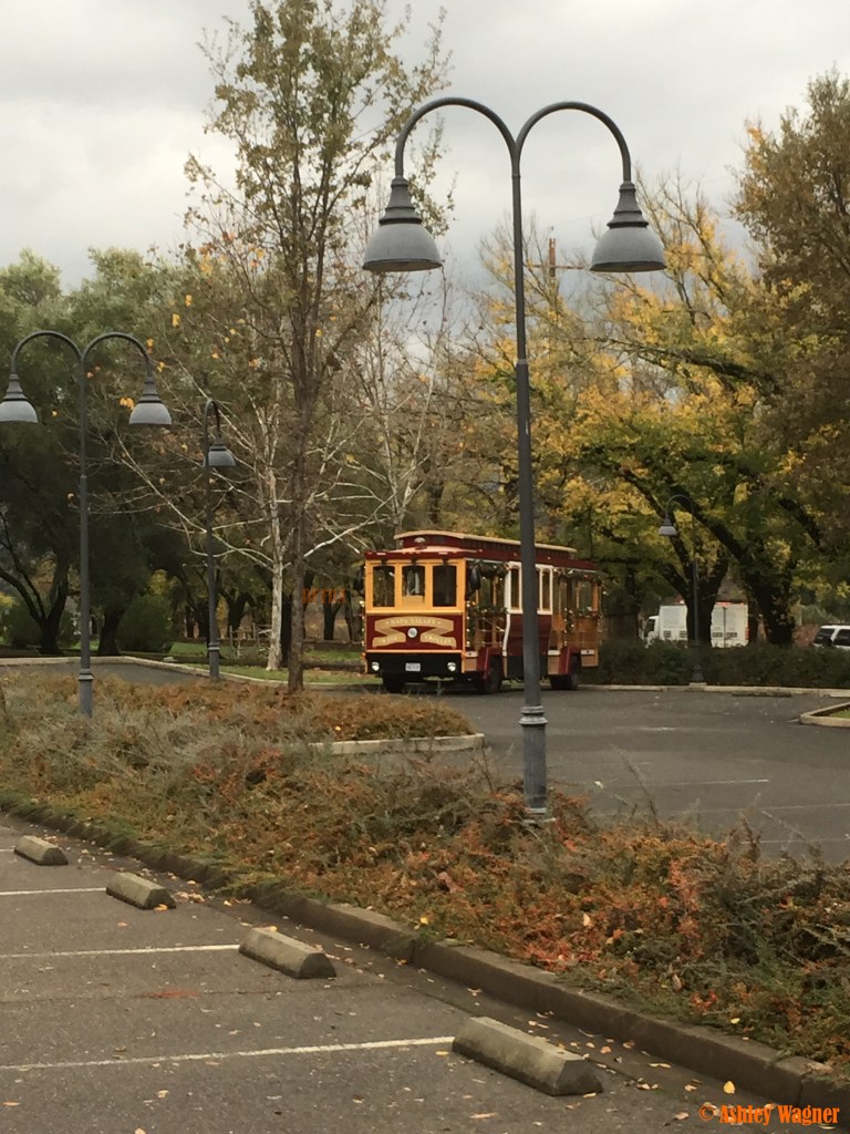 Photo Dec 05, 3 35 12 PM