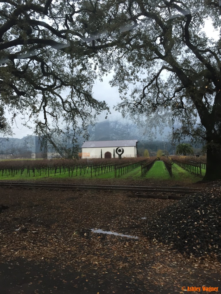 Photo Dec 05, 3 56 54 PM