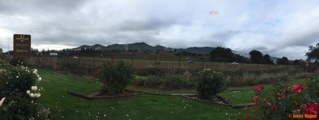 Photo Dec 05, 9 51 14 AM