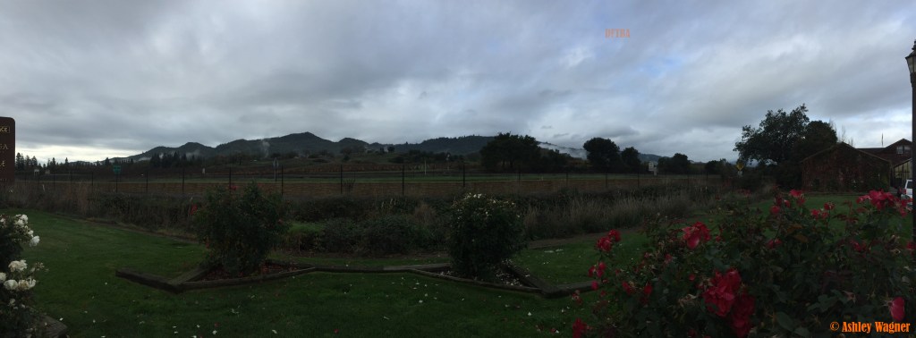 Photo Dec 05, 9 51 29 AM