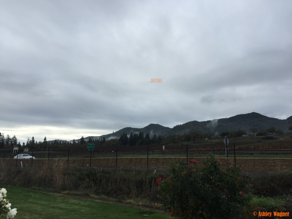 Photo Dec 05, 9 51 57 AM