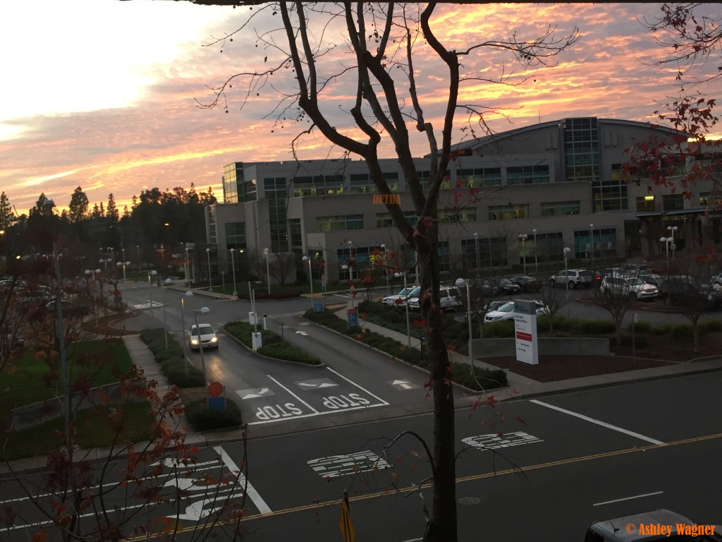 Photo Dec 08, 4 47 40 PM