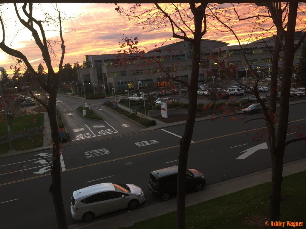 Photo Dec 08, 4 49 35 PM