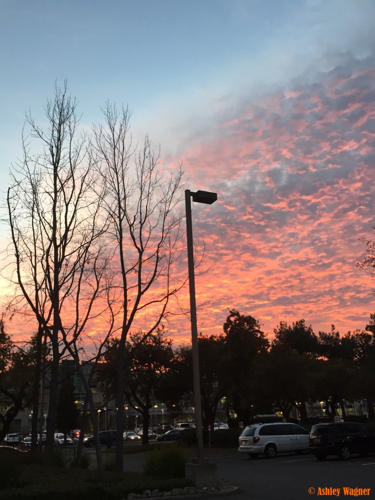 Photo Dec 08, 4 51 51 PM