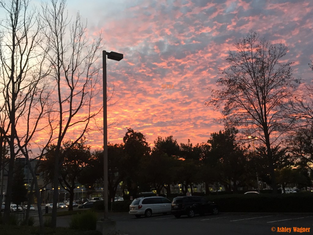 Photo Dec 08, 4 51 56 PM