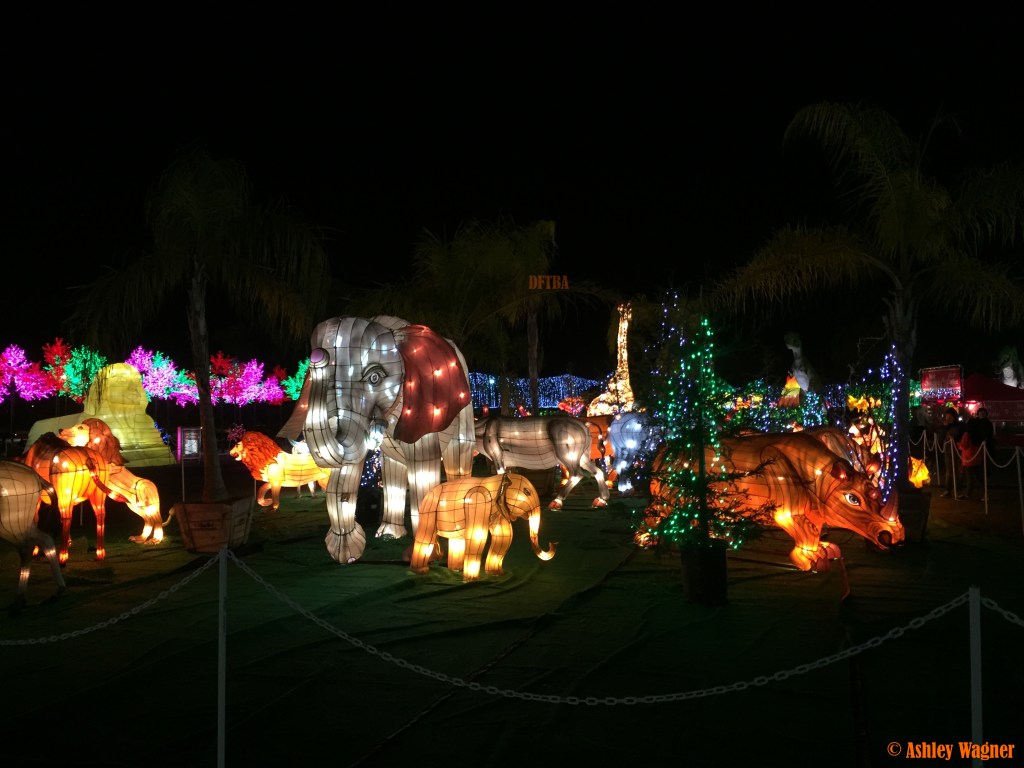 Photo Dec 13, 10 56 09 PM