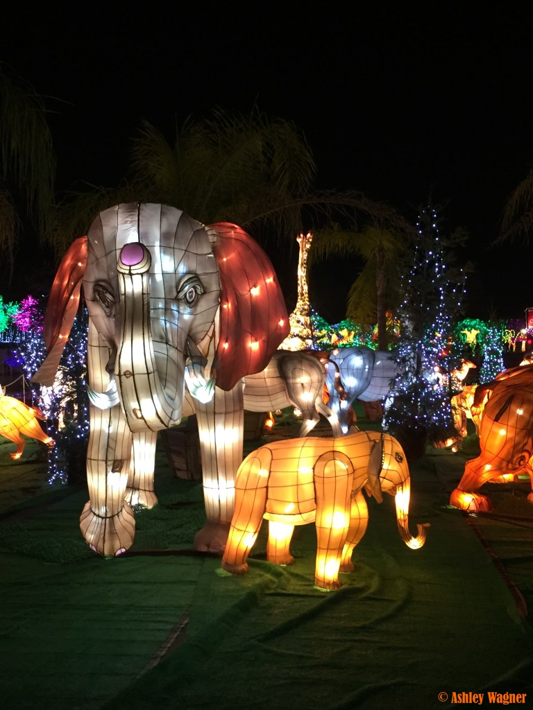 Photo Dec 13, 10 56 15 PM