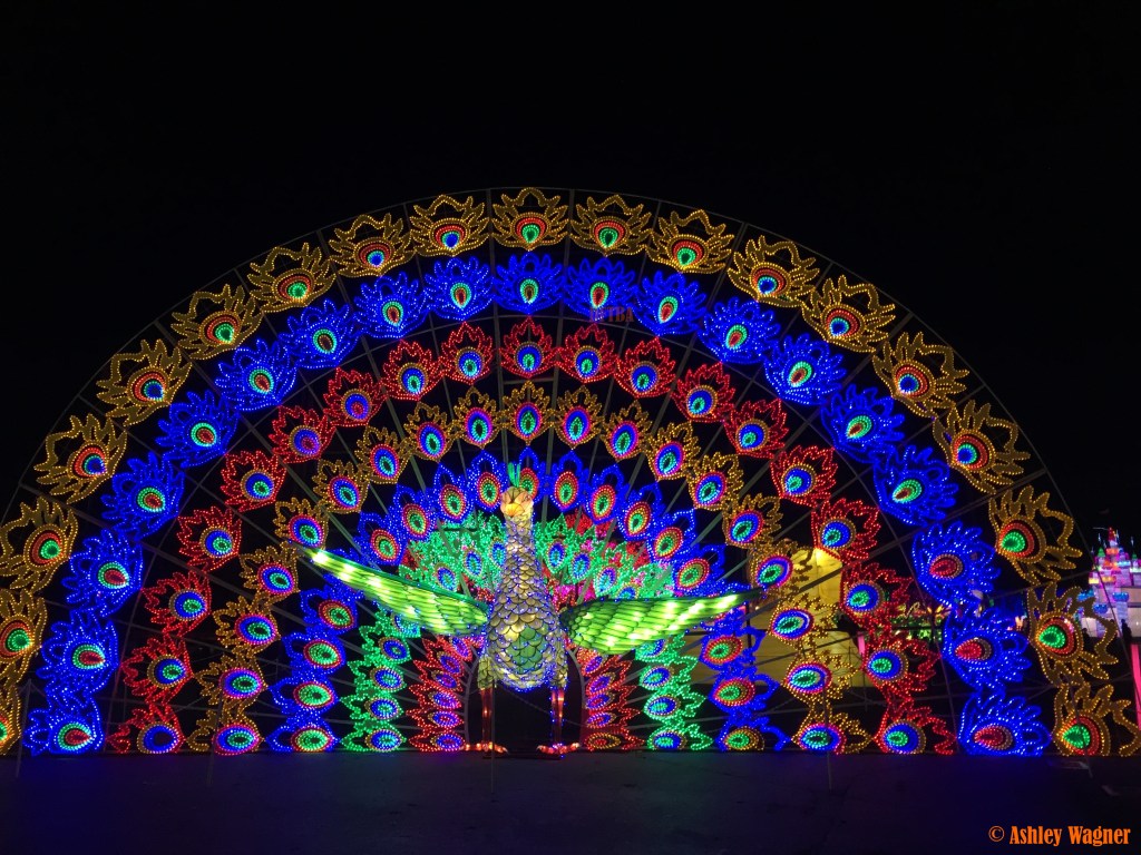 Photo Dec 13, 10 57 00 PM