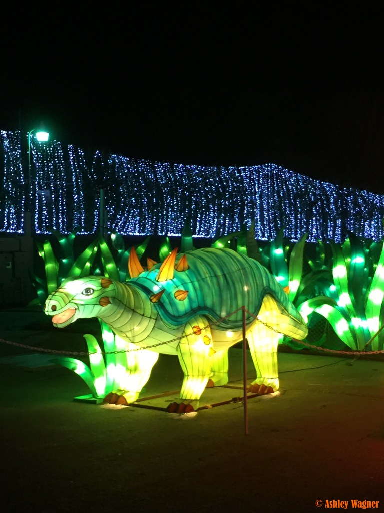 Photo Dec 13, 10 58 32 PM