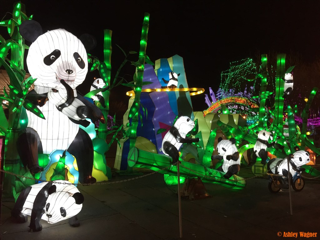 Photo Dec 13, 11 02 47 PM