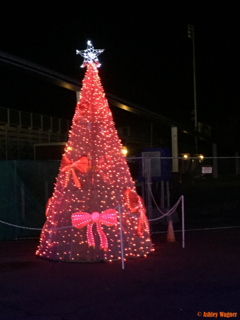 Photo Dec 13, 8 45 53 PM