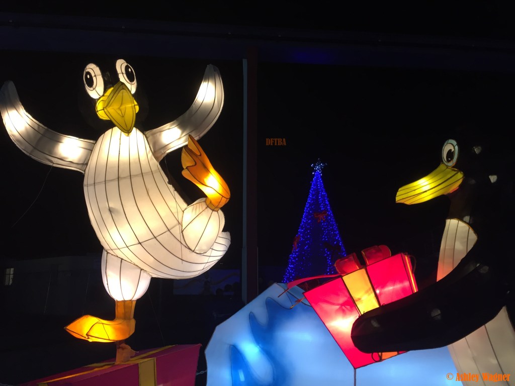 Photo Dec 13, 8 46 50 PM