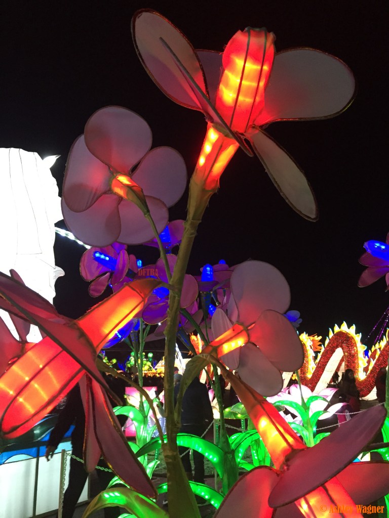 Photo Dec 13, 8 51 20 PM