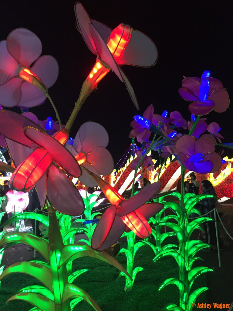 Photo Dec 13, 8 51 22 PM