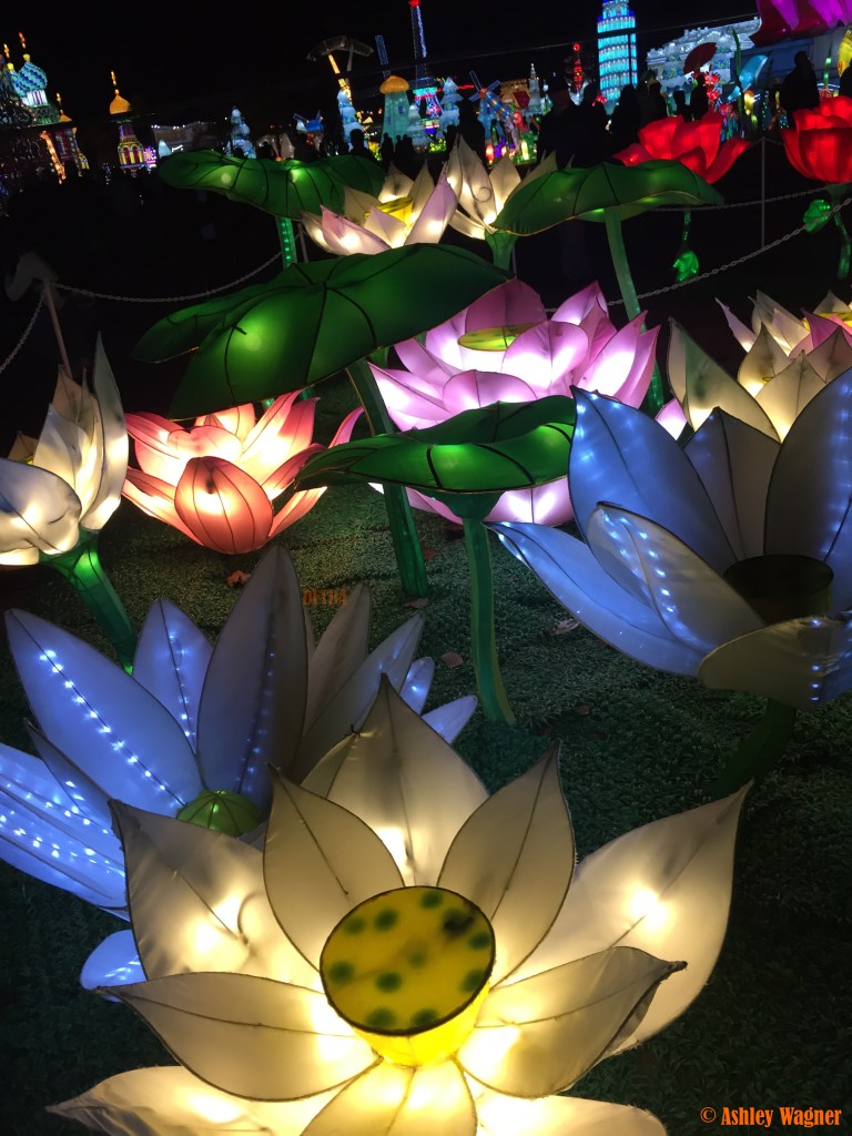 Photo Dec 13, 8 51 28 PM