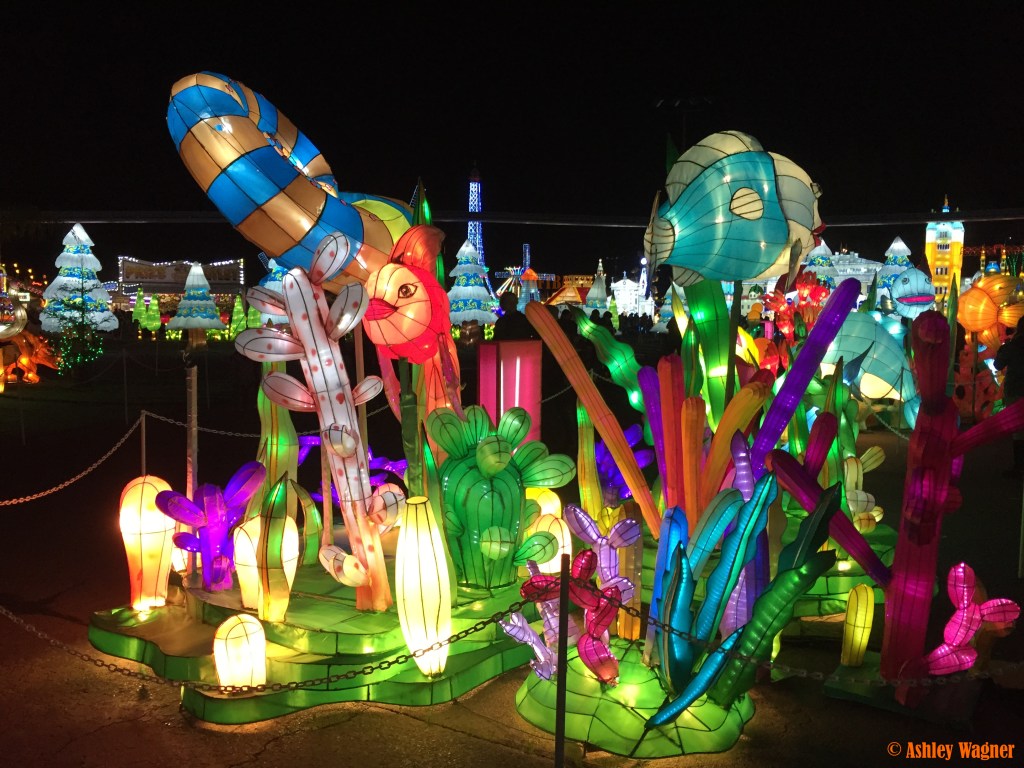 Photo Dec 13, 8 53 28 PM