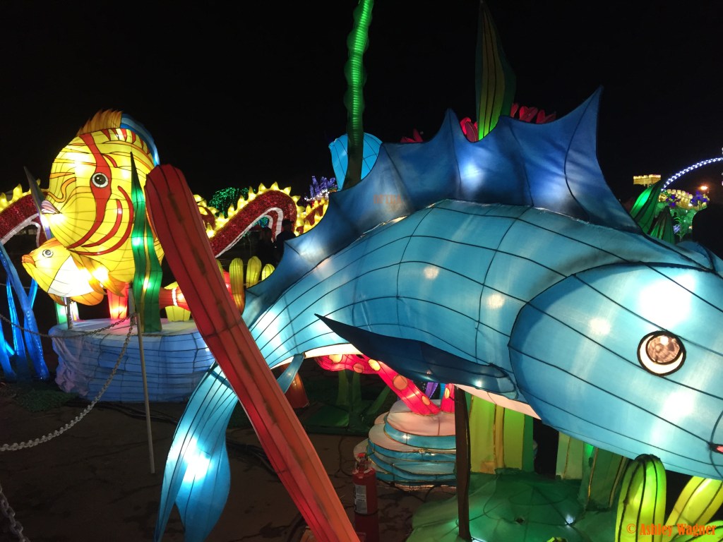 Photo Dec 13, 8 53 43 PM