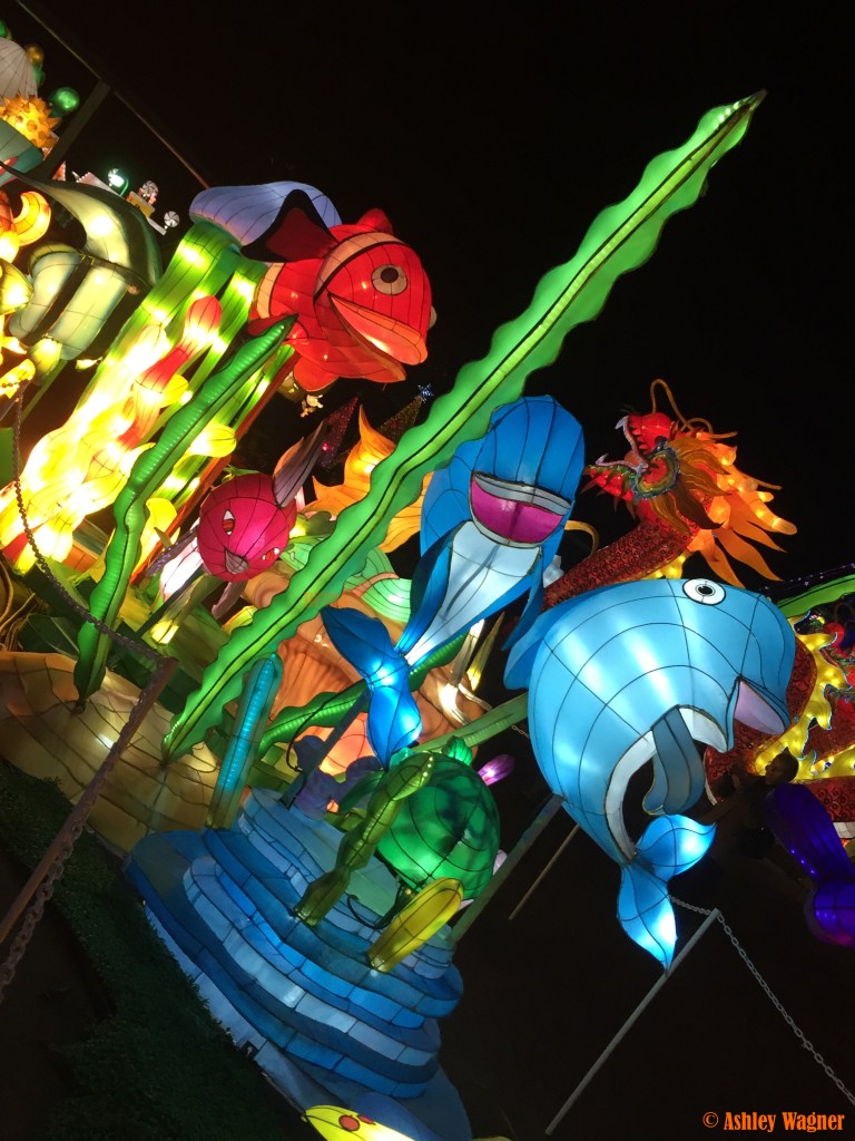 Photo Dec 13, 8 54 26 PM