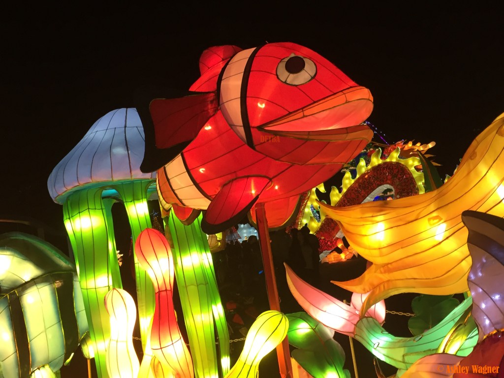 Photo Dec 13, 8 54 38 PM