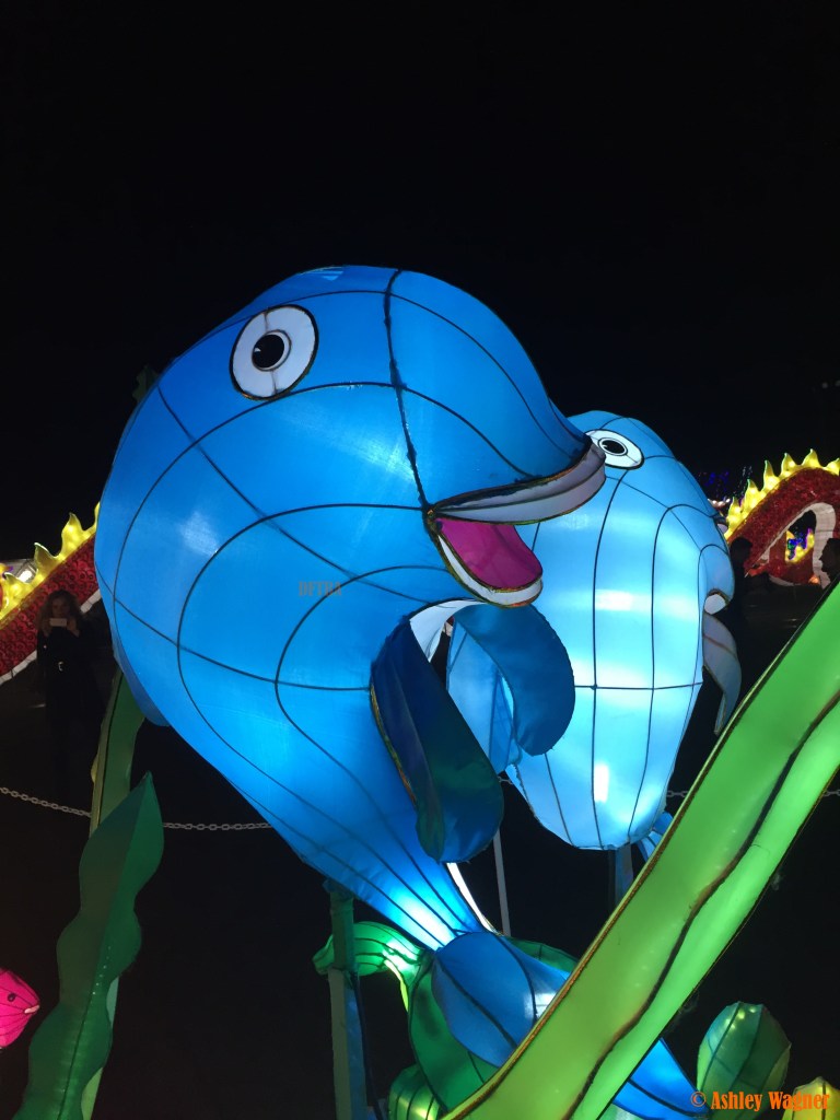 Photo Dec 13, 8 54 47 PM