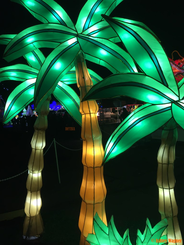 Photo Dec 13, 8 56 02 PM