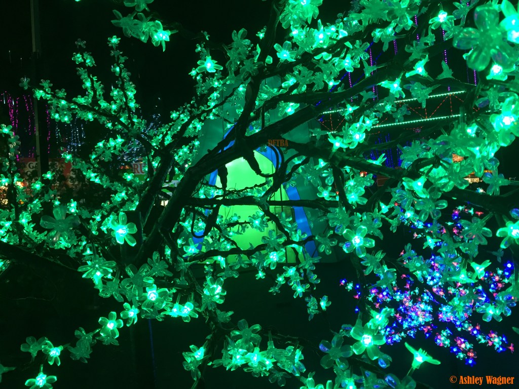 Photo Dec 13, 9 00 46 PM