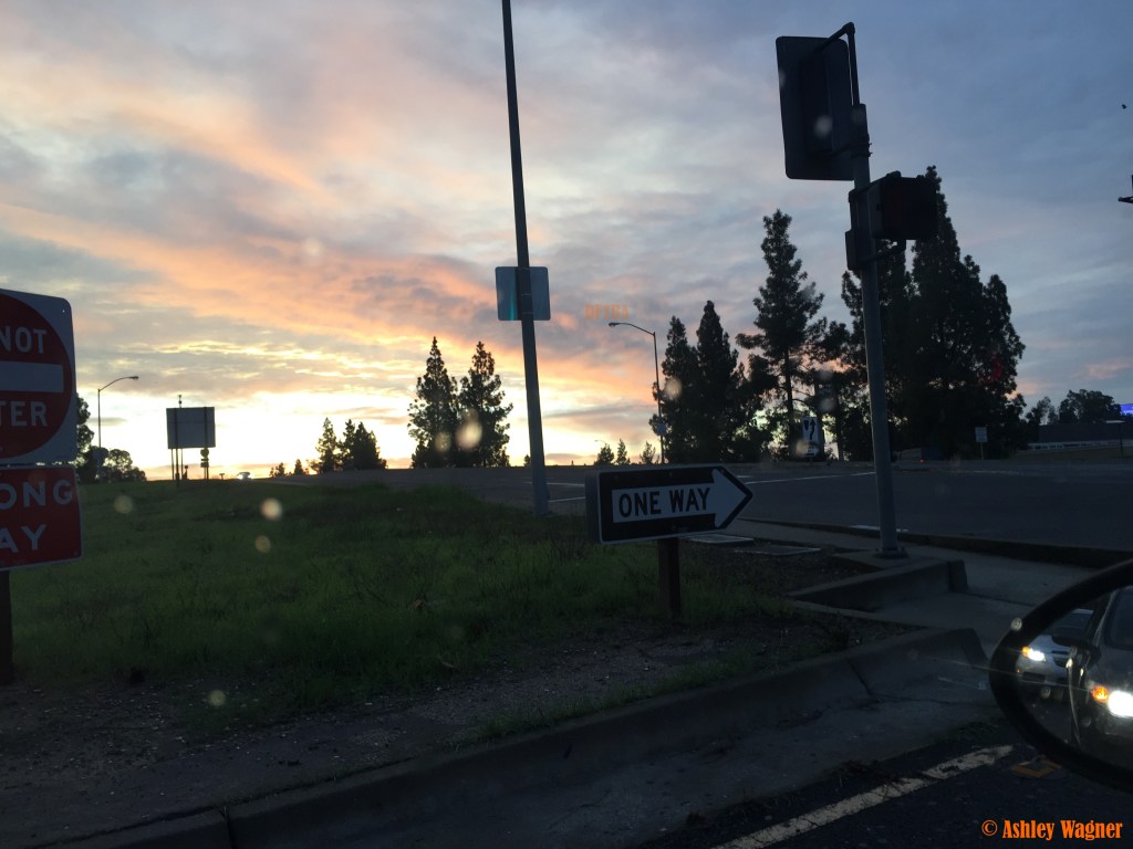 Photo Dec 18, 7 20 56 AM