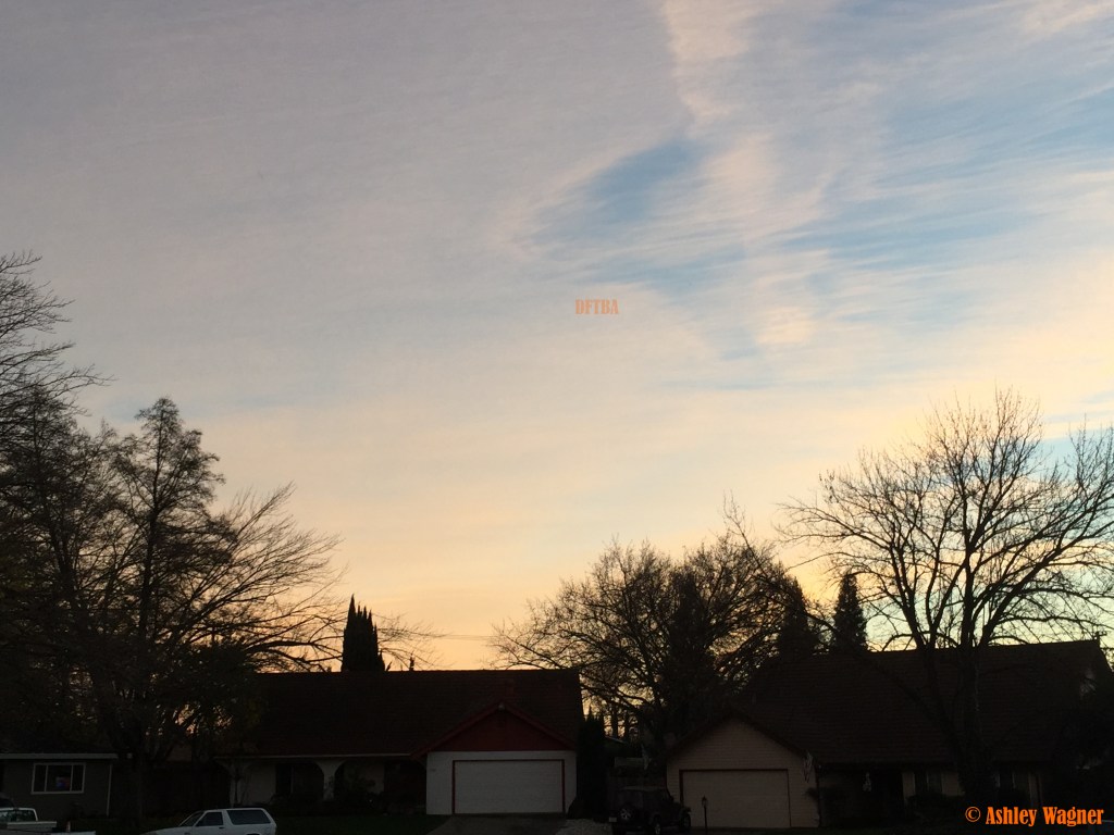 Photo Dec 21, 4 53 04 PM