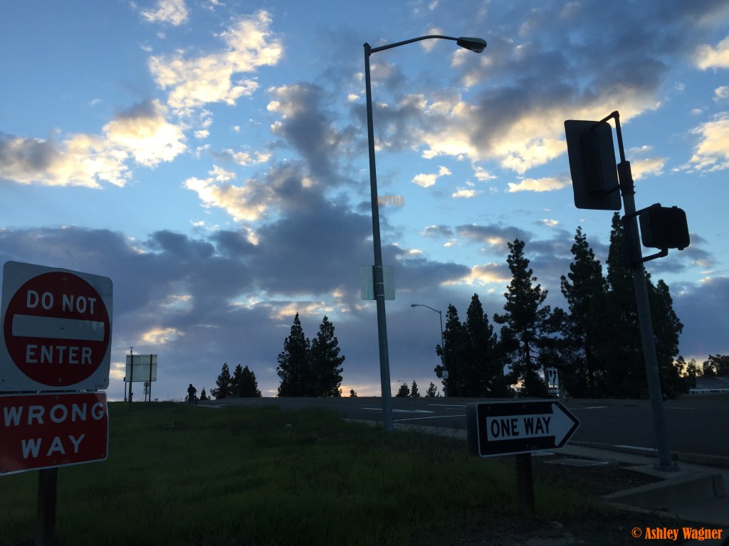 Photo Dec 30, 7 40 48 AM