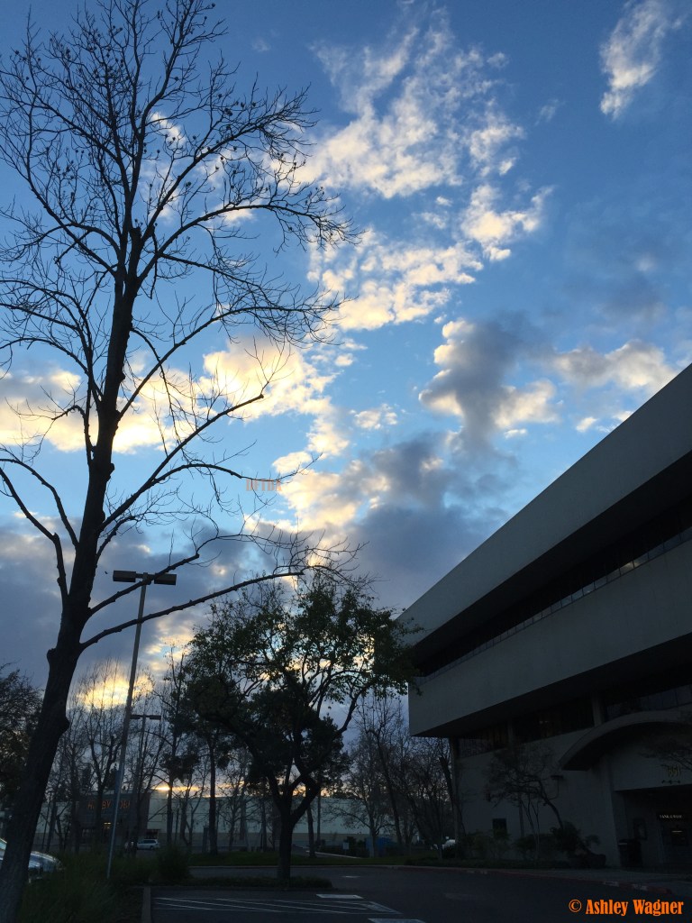 Photo Dec 30, 7 44 29 AM