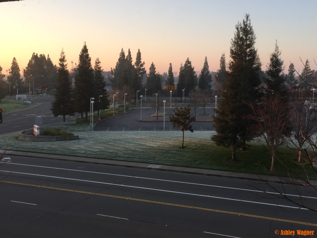 Photo Jan 02, 7 49 09 AM