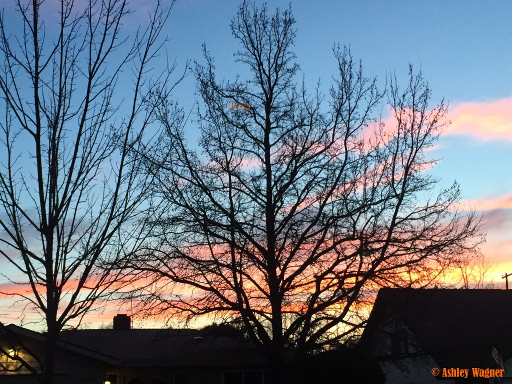 Photo Jan 05, 7 10 58 AM