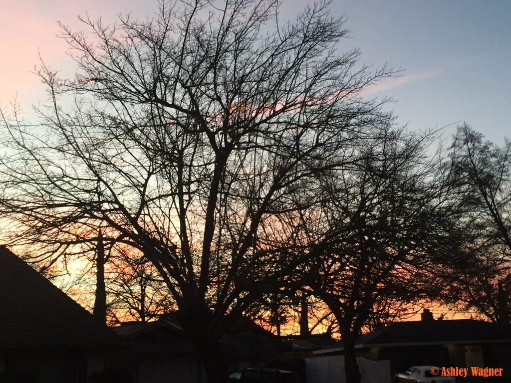 Photo Jan 08, 7 08 45 AM