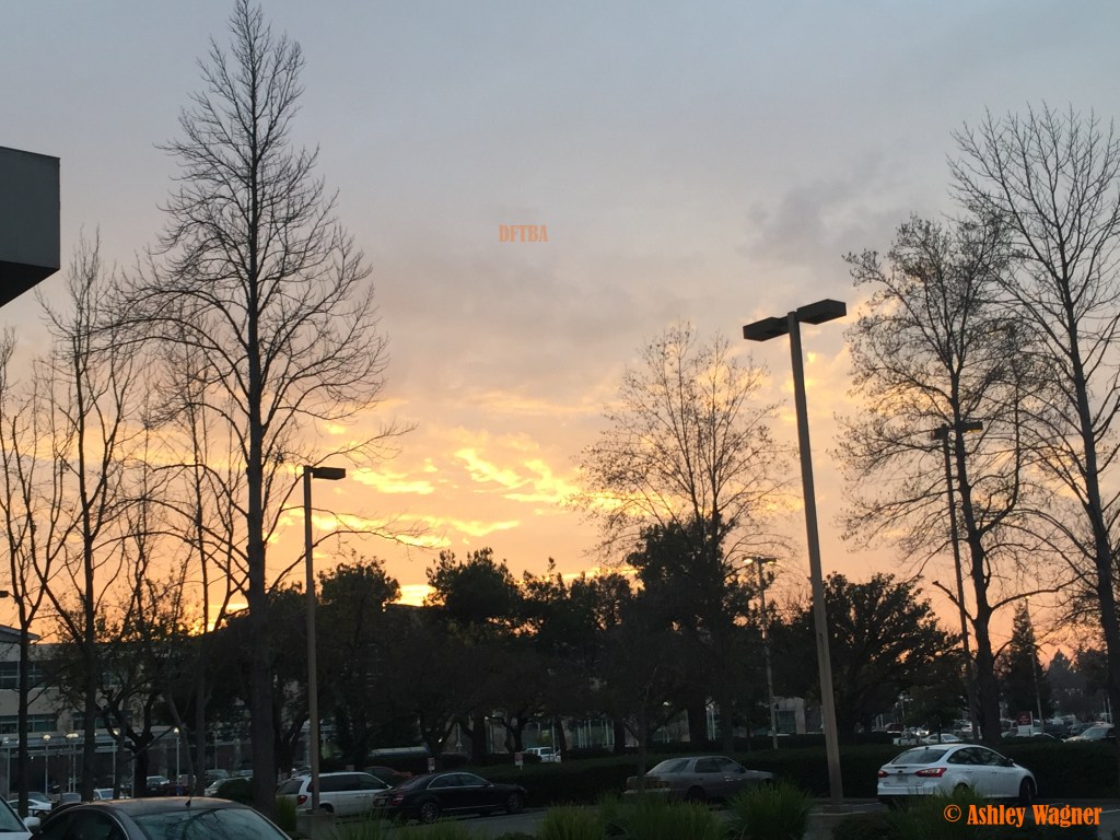 Photo Jan 09, 4 56 09 PM