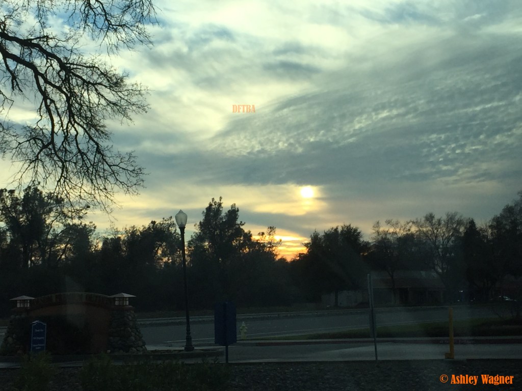 Photo Jan 10, 4 22 38 PM