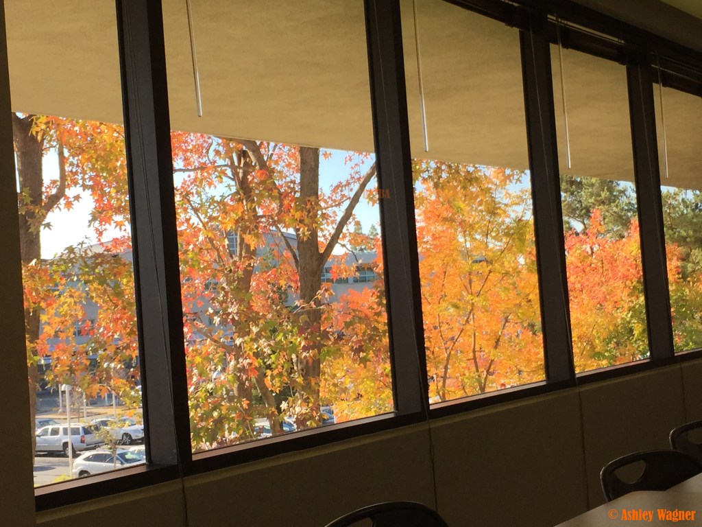 Photo Nov 25, 1 41 14 PM