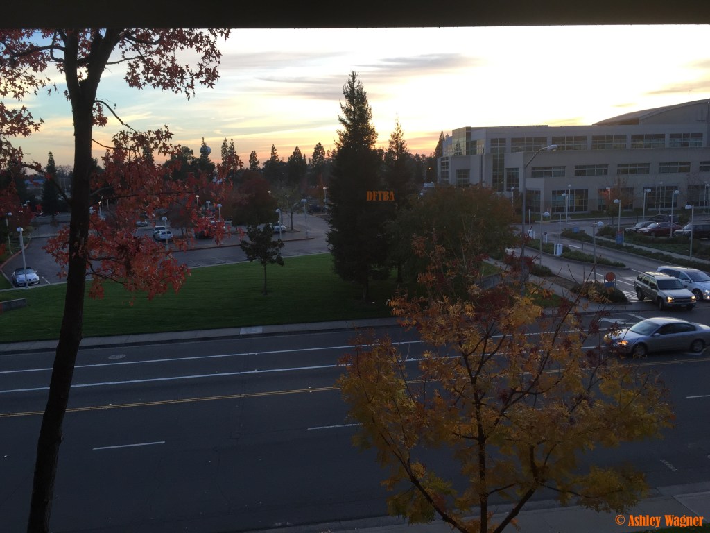 Photo Nov 26, 4 31 21 PM